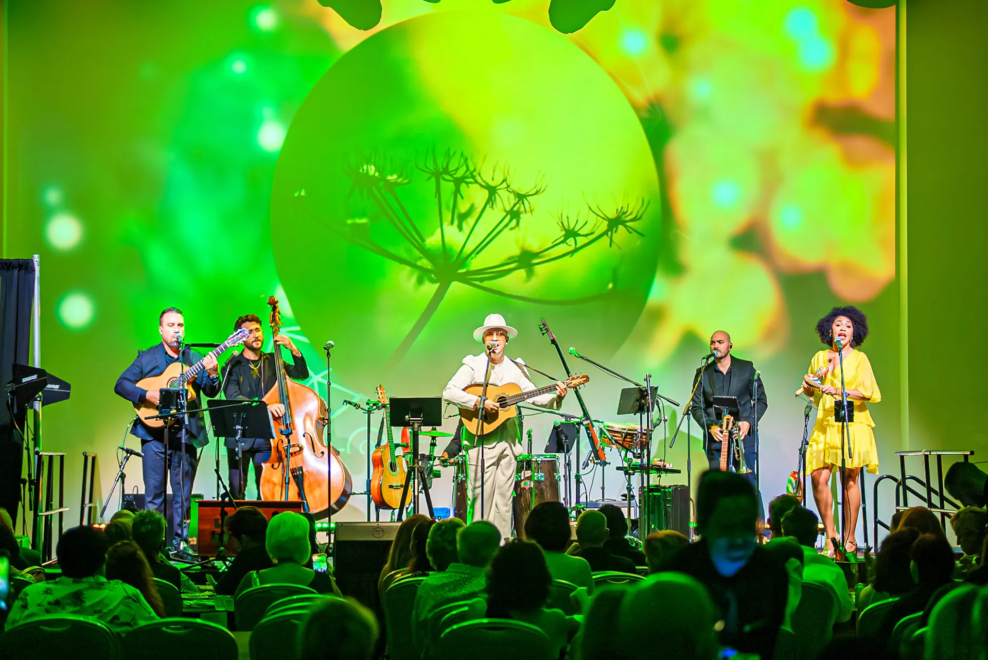Renesito Avich – Concert, photo 5