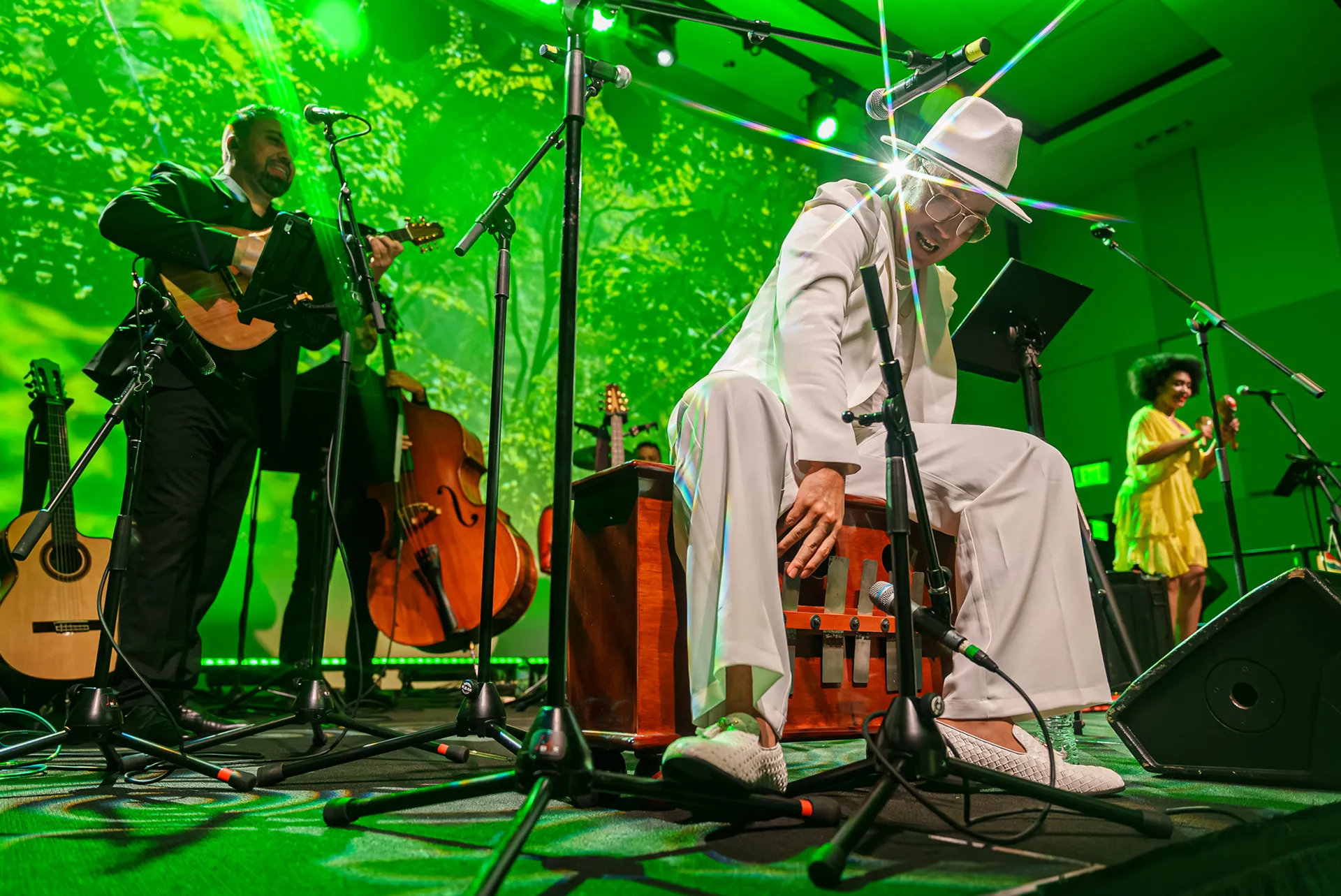 Renesito Avich – Concert, photo 13