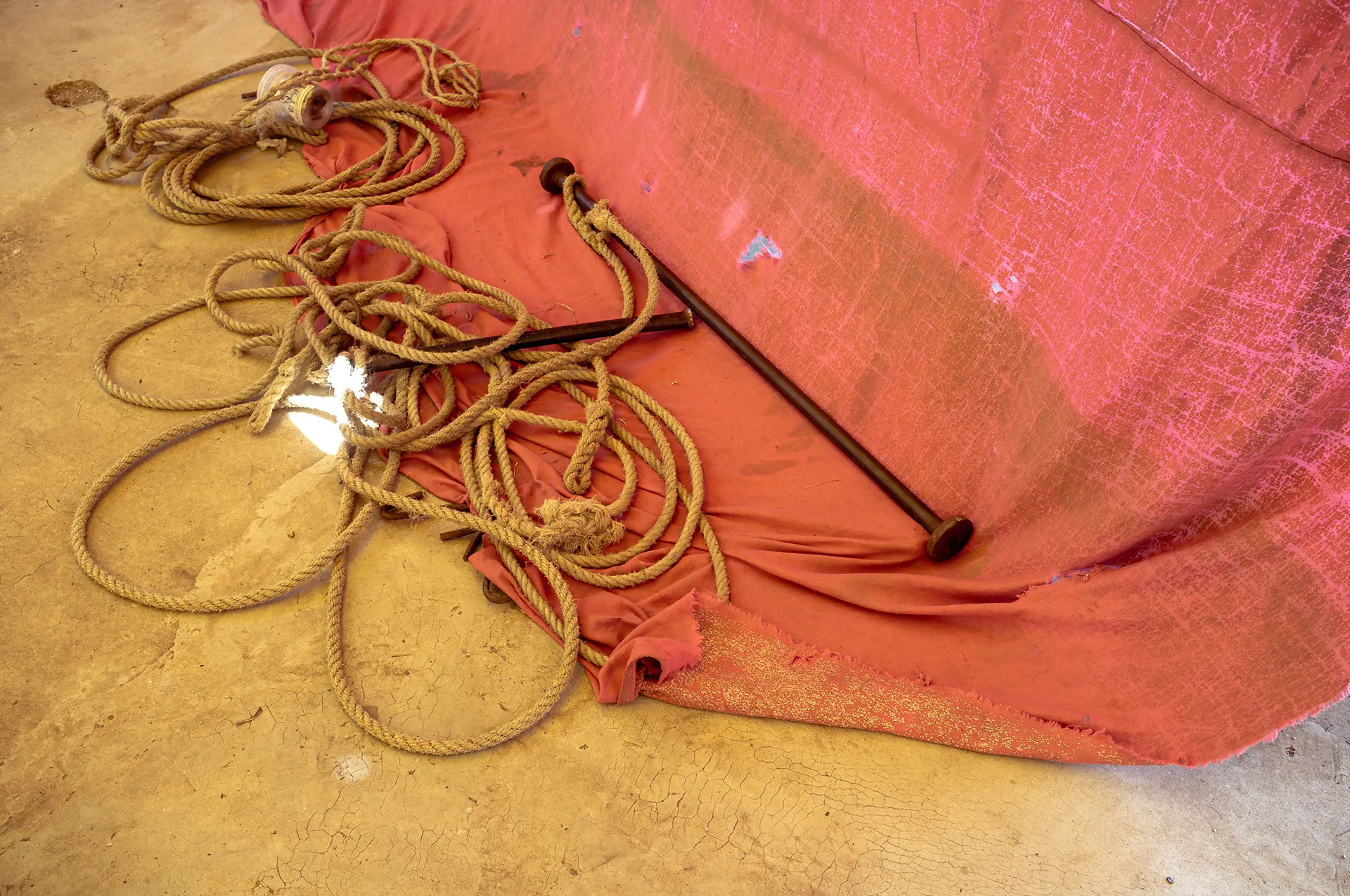 We transport joy, photo 4